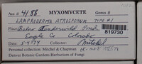 Image Associated With the Occurence